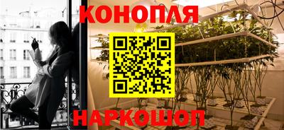 прущая мука Кимры