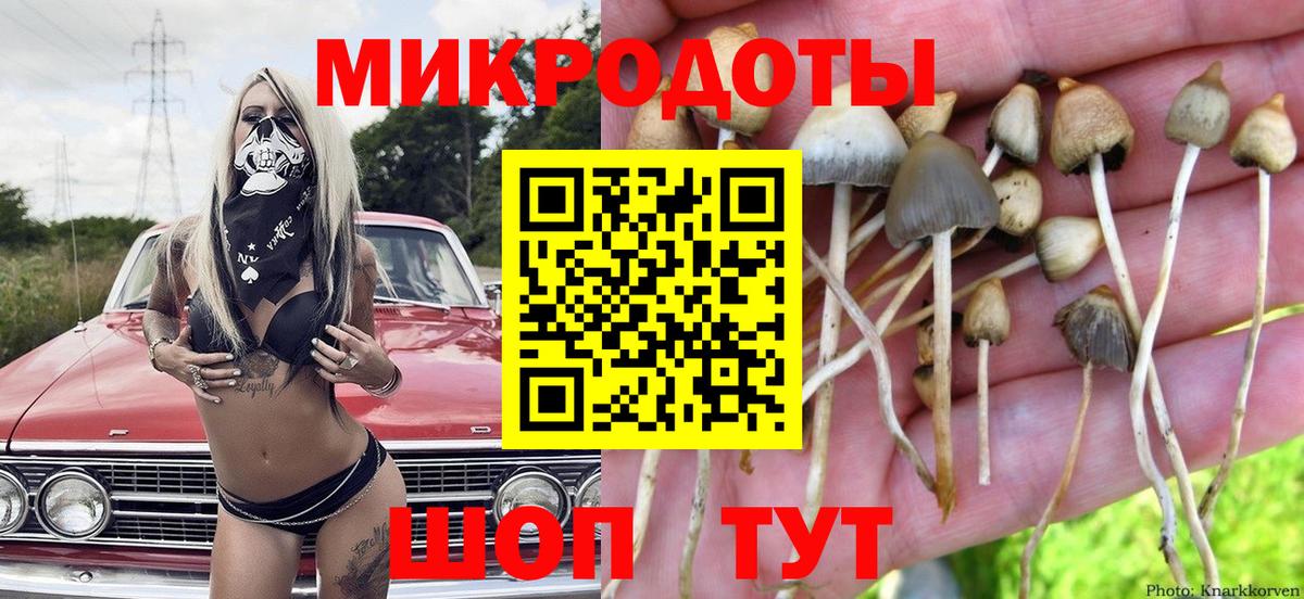 цены наркотик  Галлюциногенные грибы Cubensis  Крымск  Вход с VPN  Псилоцибиновые грибы MAGIC MUSHROOMS 